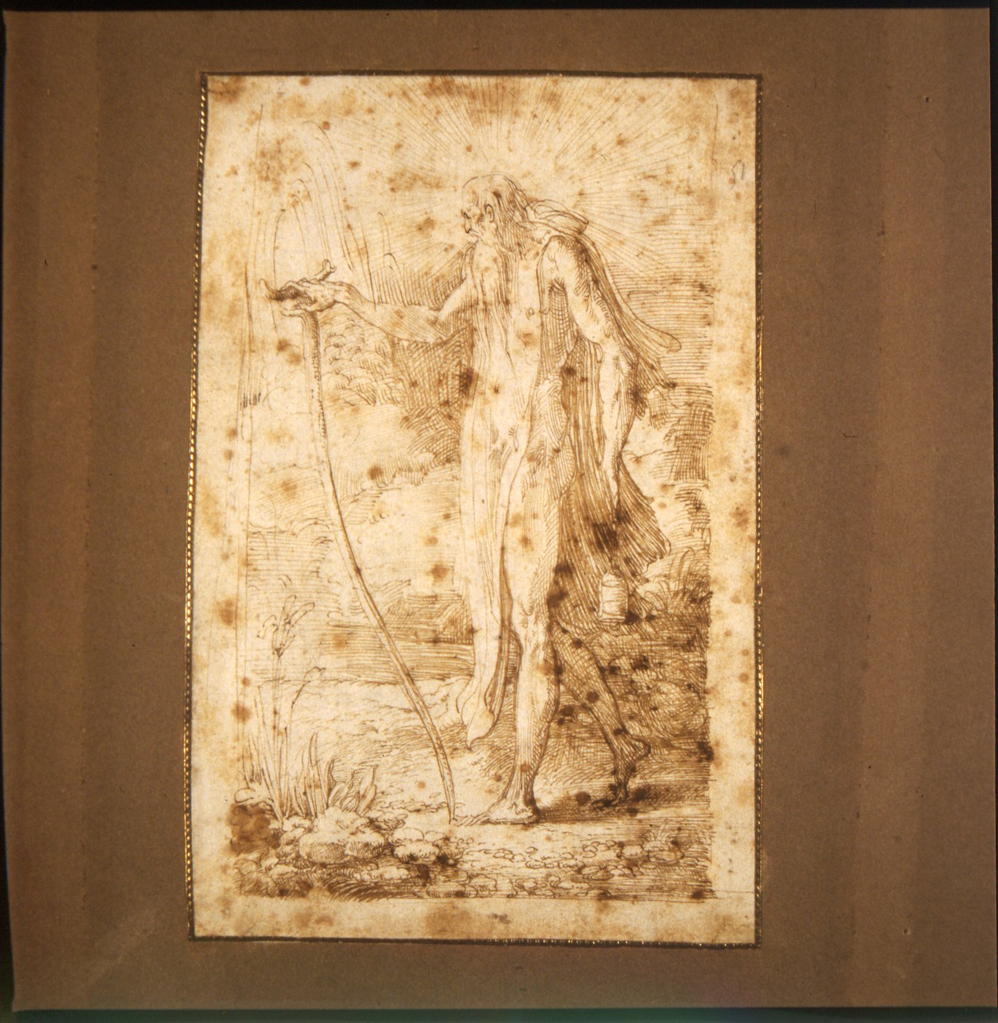 Sant'Antonio Abate o Diogene (disegno, opera isolata) di Mazzola Francesco detto Parmigianino (sec. XVI)