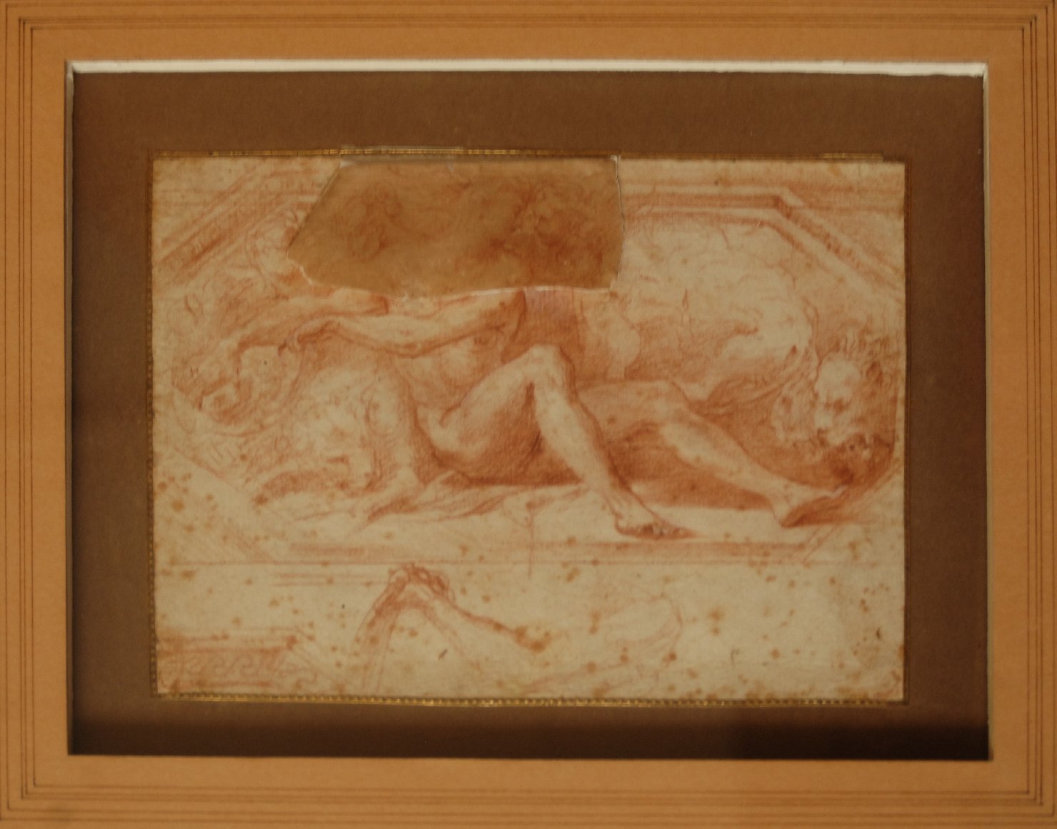 Daniele nella fossa dei leoni (disegno preparatorio, opera isolata) di Mazzola Francesco detto Parmigianino (sec. XVI)