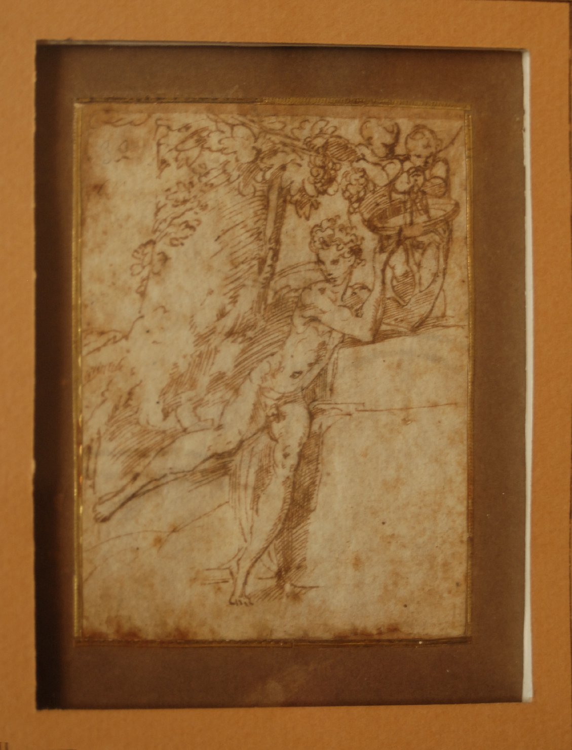 Bacco giovane con due putti che spremono l'uva nella sua coppa (disegno, opera isolata) di Mazzola Francesco detto Parmigianino (sec. XVI)