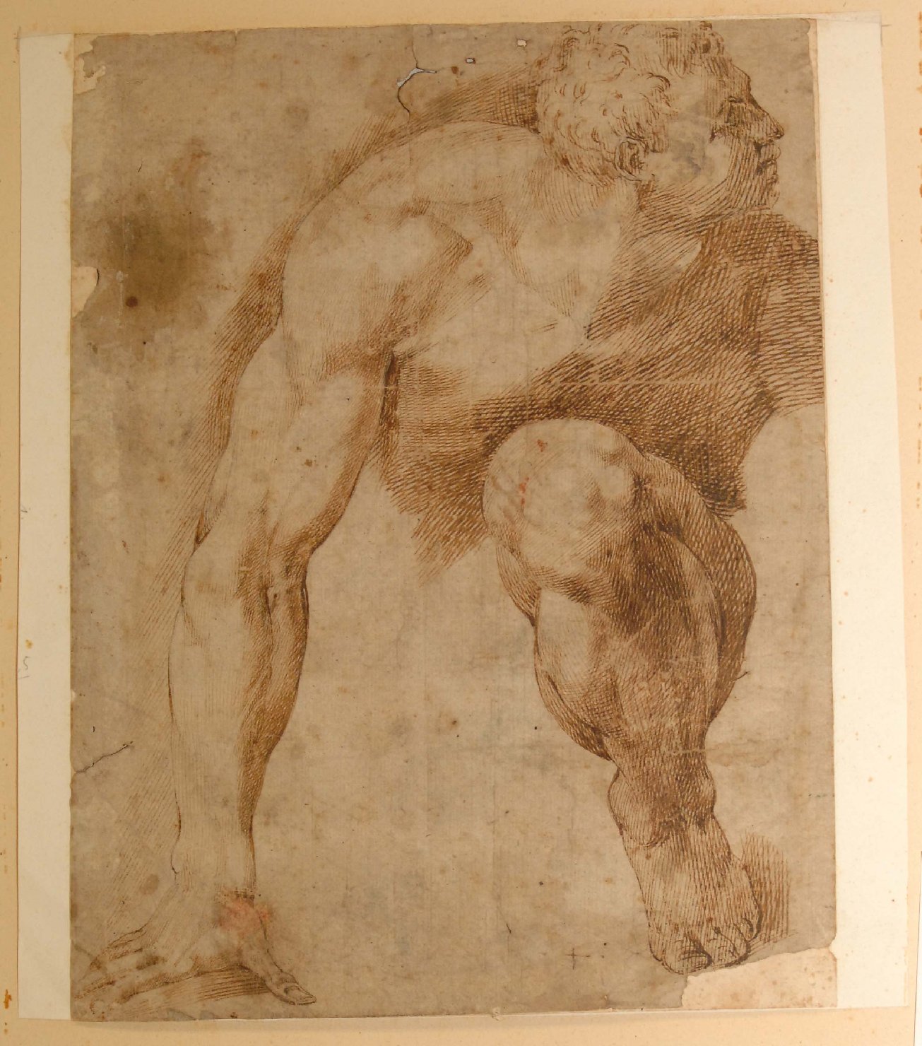 figura maschile (disegno) - ambito emiliano (seconda metà sec. XVI)
