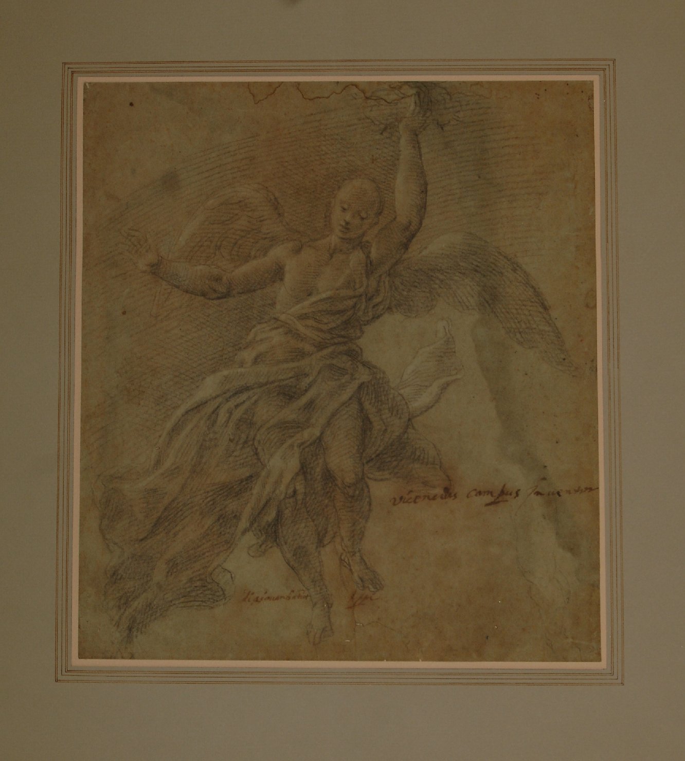 angelo reggicorona, busto di angelo (disegno preparatorio) di Campi Vincenzo (sec. XVI)