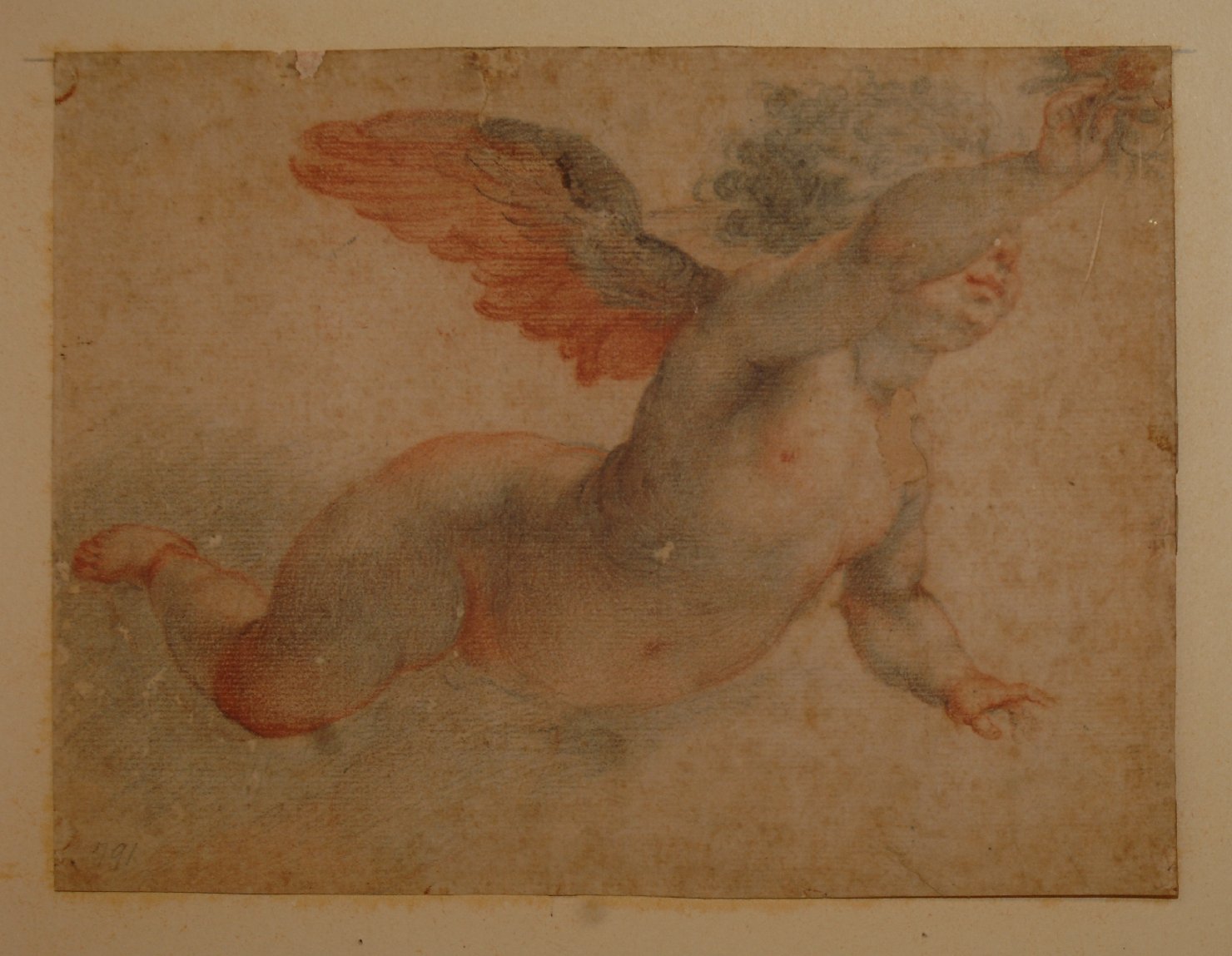 angelo (disegno, opera isolata) - ambito bolognese (sec. XVIII)