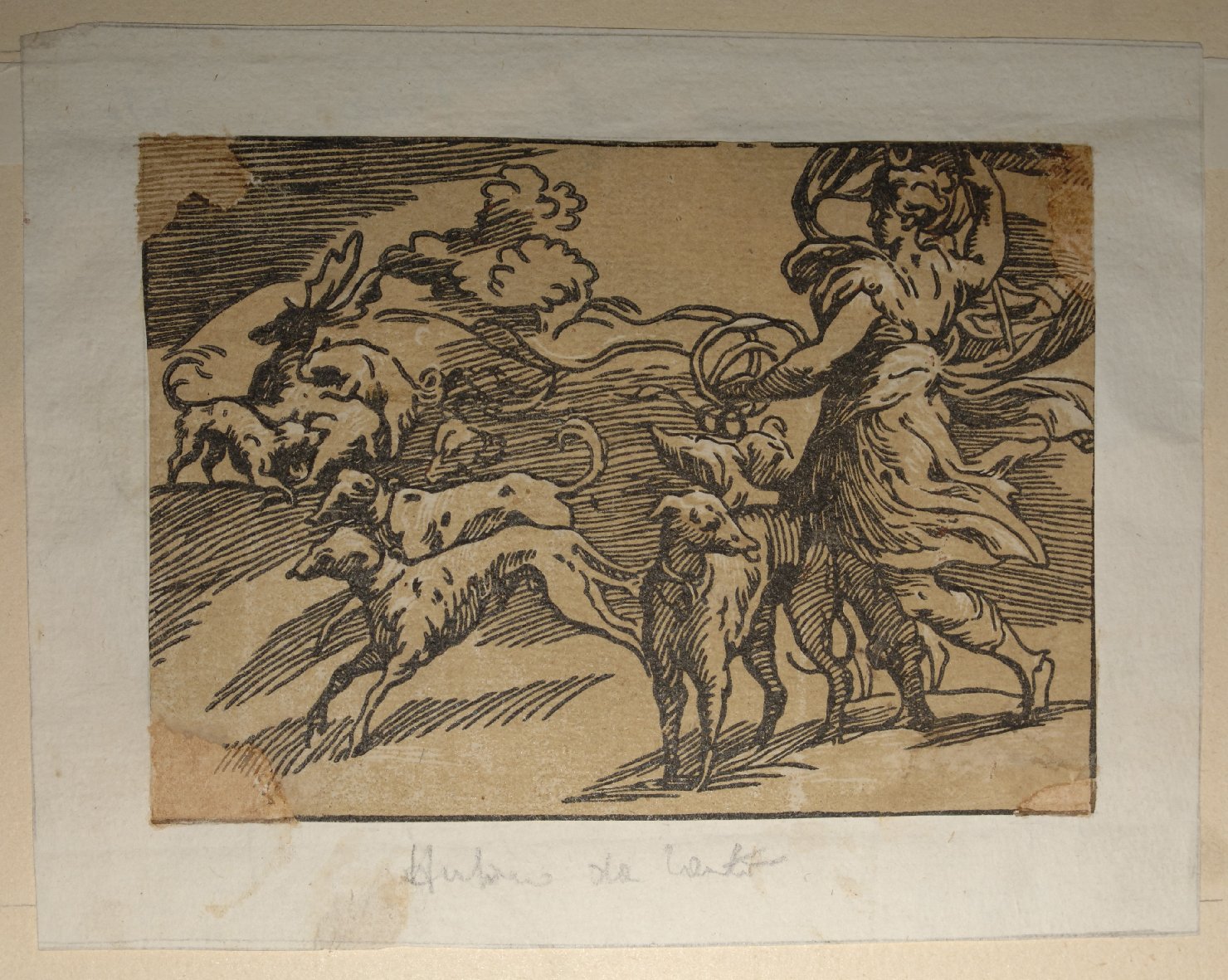 Diana cacciatrice (stampa controfondata tagliata) di Antonio da Trento (attribuito), Mazzola Francesco detto Parmigianino (sec. XVI)