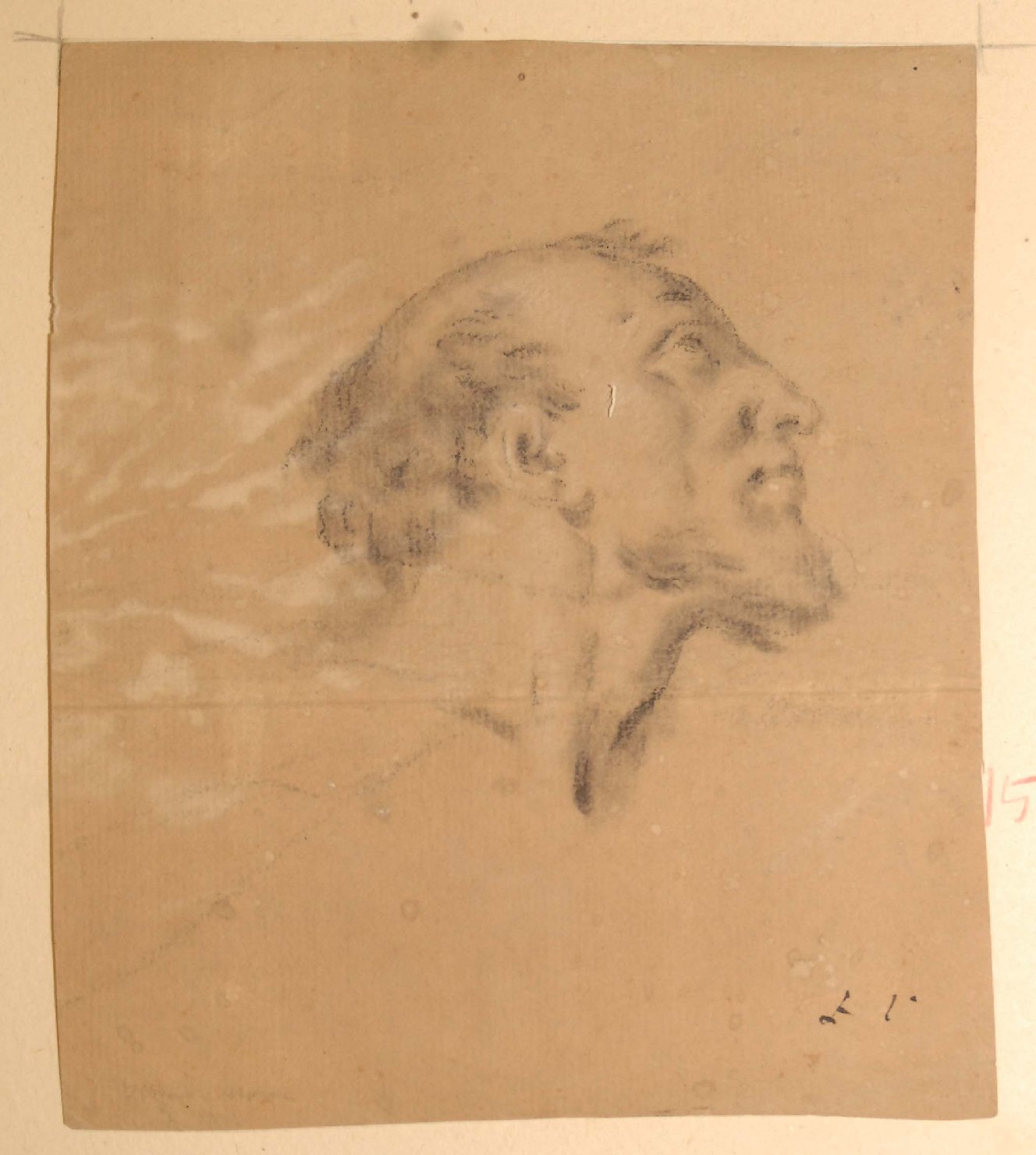 testa di San Paolo, studio di testa virile (disegno, opera isolata) di Peroni Giuseppe (sec. XVIII)