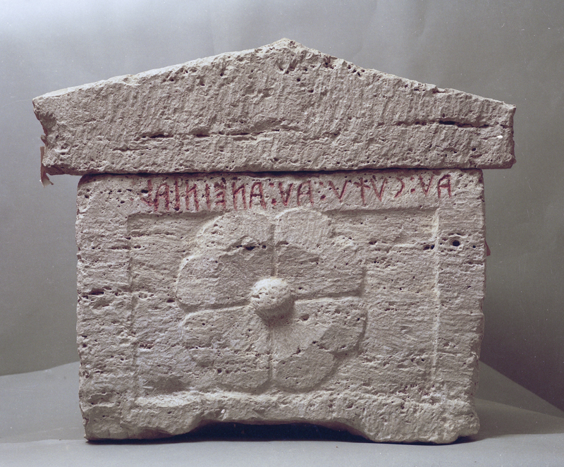 rosone a quattro petali lobati (urna/ cineraria, cassa, cubica, decorata) (III-I sec. a.C)