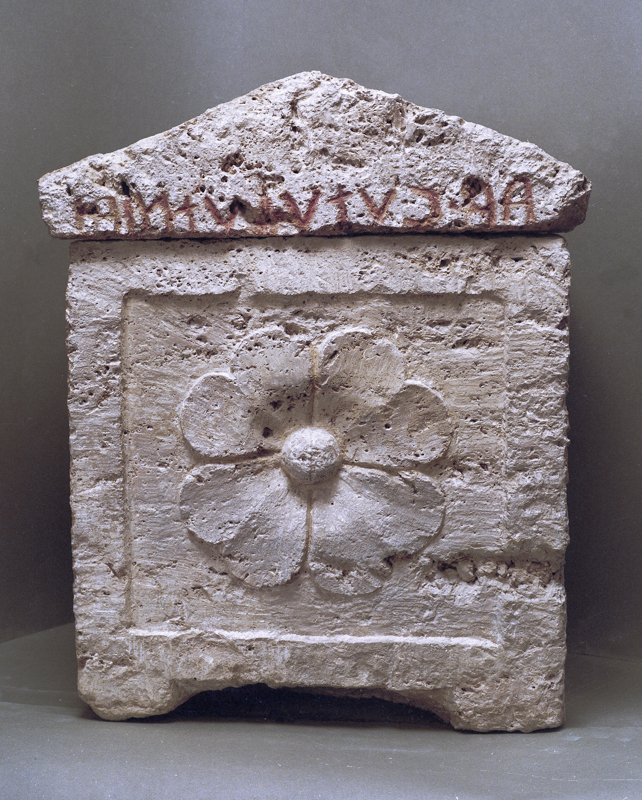 Rosone a quattro petali lobati (urna/ cineraria, cassa, cubica, decorata) (III-I sec. a.C)