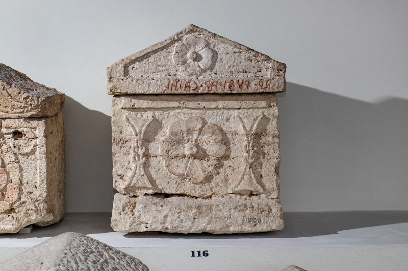 rosone a quattro petali tra due nodi di Salomone? (urna/ cineraria, cassa, cubica, decorata) (II-I sec. a.C)