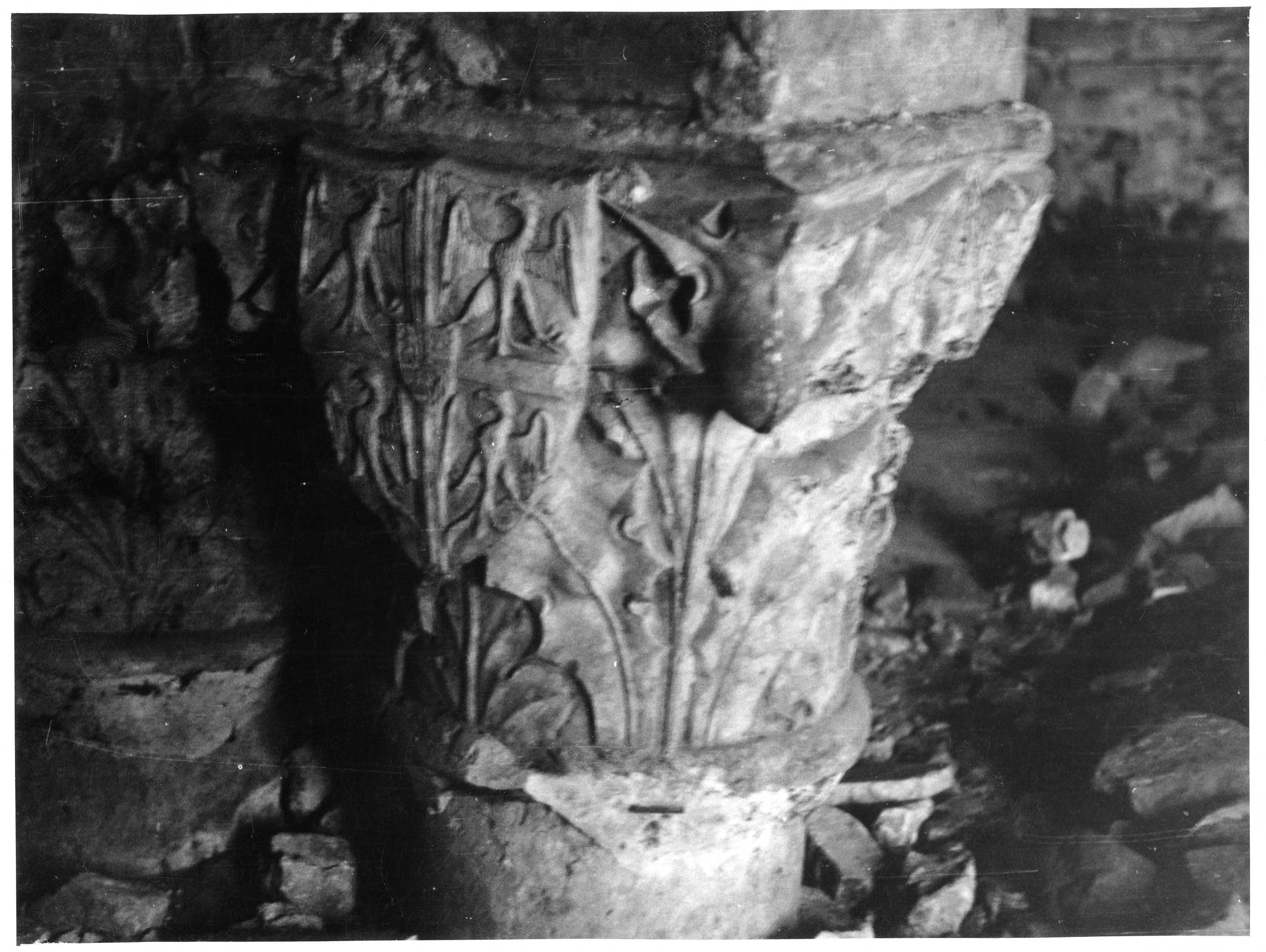 Architettura - Palazzi - Mantova (positivo) di anonimo (anonimo) (seconda metà XX)