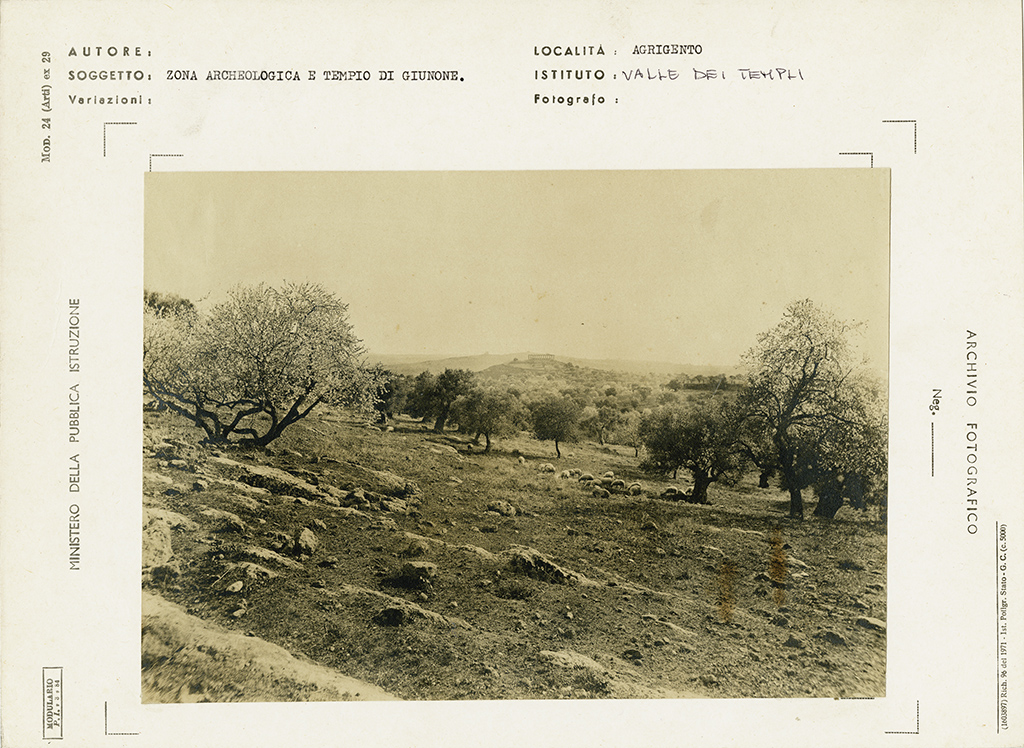 Sicilia - Agrigento - Valle dei Templi (positivo, insieme) di Anonimo <1926-1950> (XX)