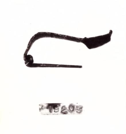 fibula, a sezione a T - civiltà picena/Piceno IVb (seconda metà sec. VI a. C)