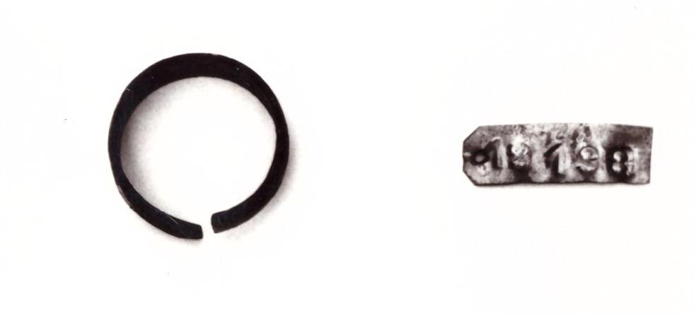 anello - Piceno IV a (seconda metà sec. VI a. C)