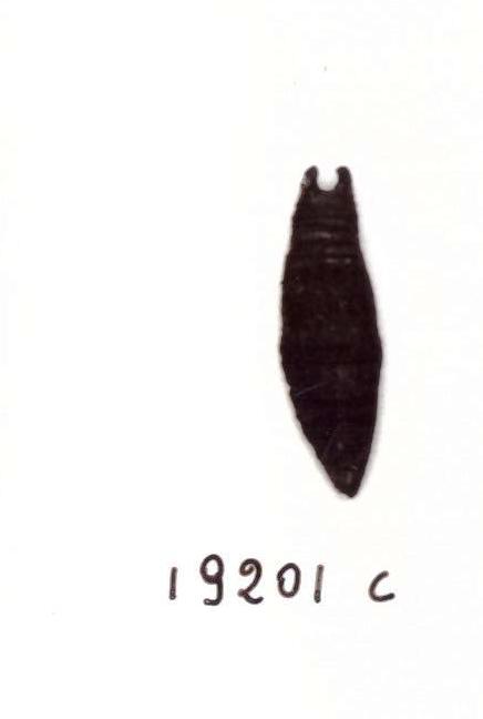 pendente, lanceolato - Piceno IV B (seconda metà sec. VI a. C)