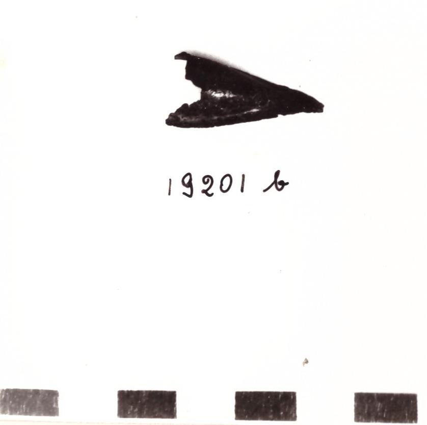 pendente - Piceno IV b (seconda metà sec. VI a. C)