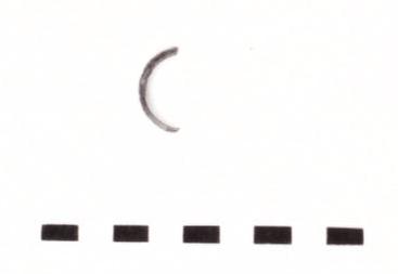 anello - Piceno IV B (seconda metà sec. VI a. C)