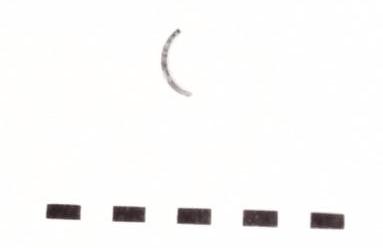 anello - Piceno IV (seconda metà sec. VI a. C)