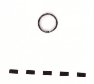 anello - Piceno IV B (seconda metà sec. VI a. C)