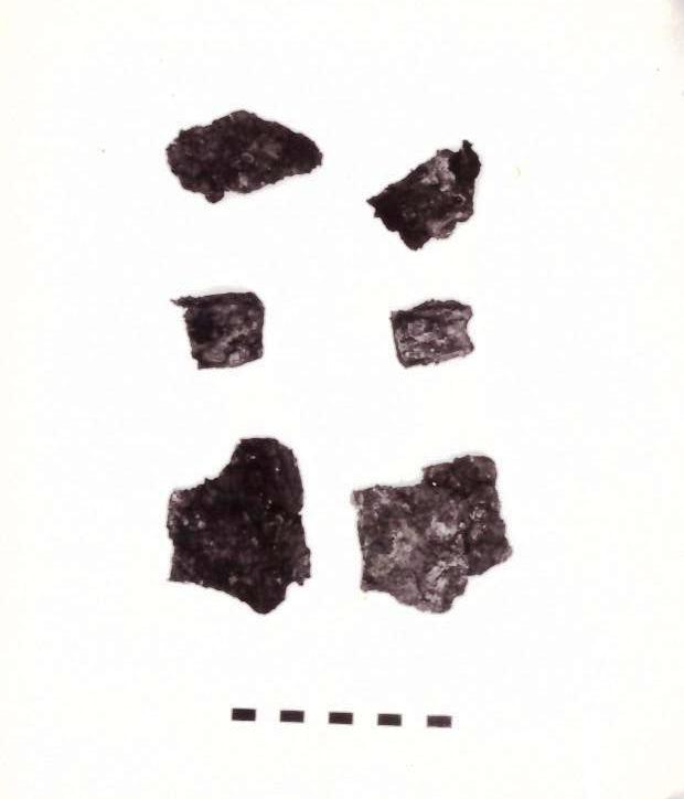 ruota - Piceno IV B (seconda metà sec. VI a. C)