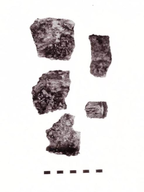 ruota - Piceno IV B (seconda metà sec. VI a. C)