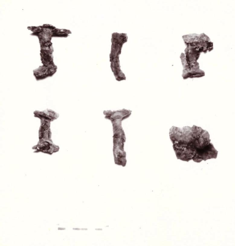 chiodo - Piceno IV B (seconda metà sec. VI a. C)