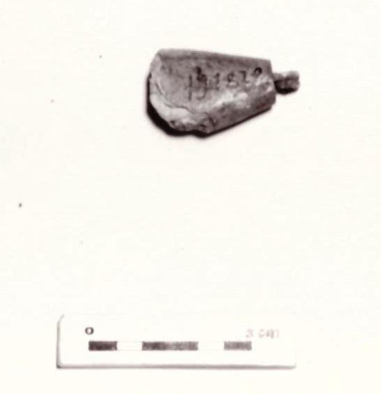 fibula - Piceno IV B (seconda metà sec. VI a. C)
