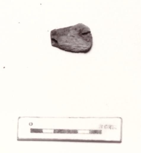 fibula - Piceno IV B (seconda metà sec. VI a. C)