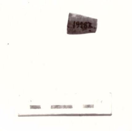 fibula - Piceno IV B (seconda metà sec. VI a. C)