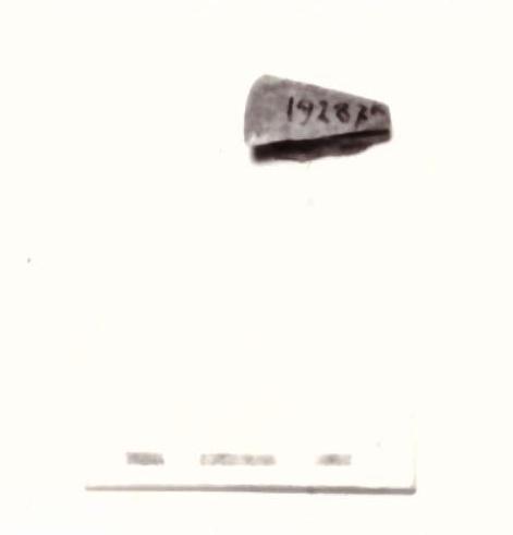 fibula - Piceno IV B (seconda metà sec. VI a. C)