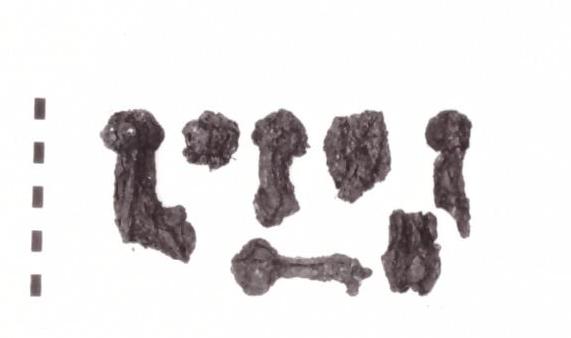 oggetto non identificato - Piceno IV B (seconda metà sec. VI a. C)