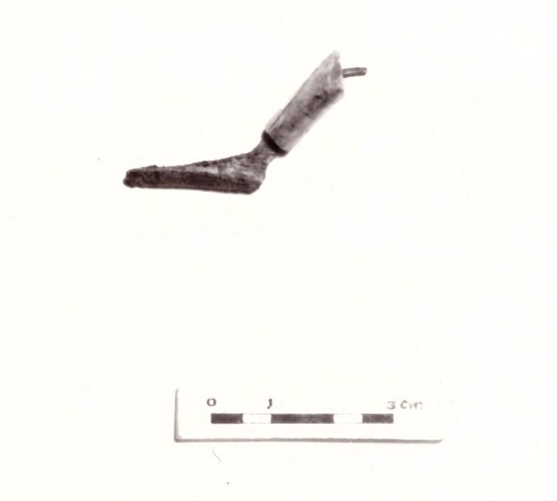 fibula - Piceno IV B (seconda metà sec. VI a. C)