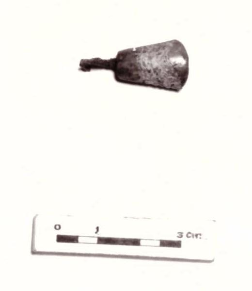 fibula - Piceno IV B (seconda metà sec. VI a. C)