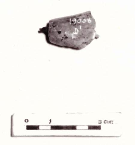 fibula - Piceno IV B (seconda metà sec. VI a. C)