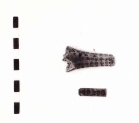 amuleto - Piceno IV A (prima metà sec. VI a. C)