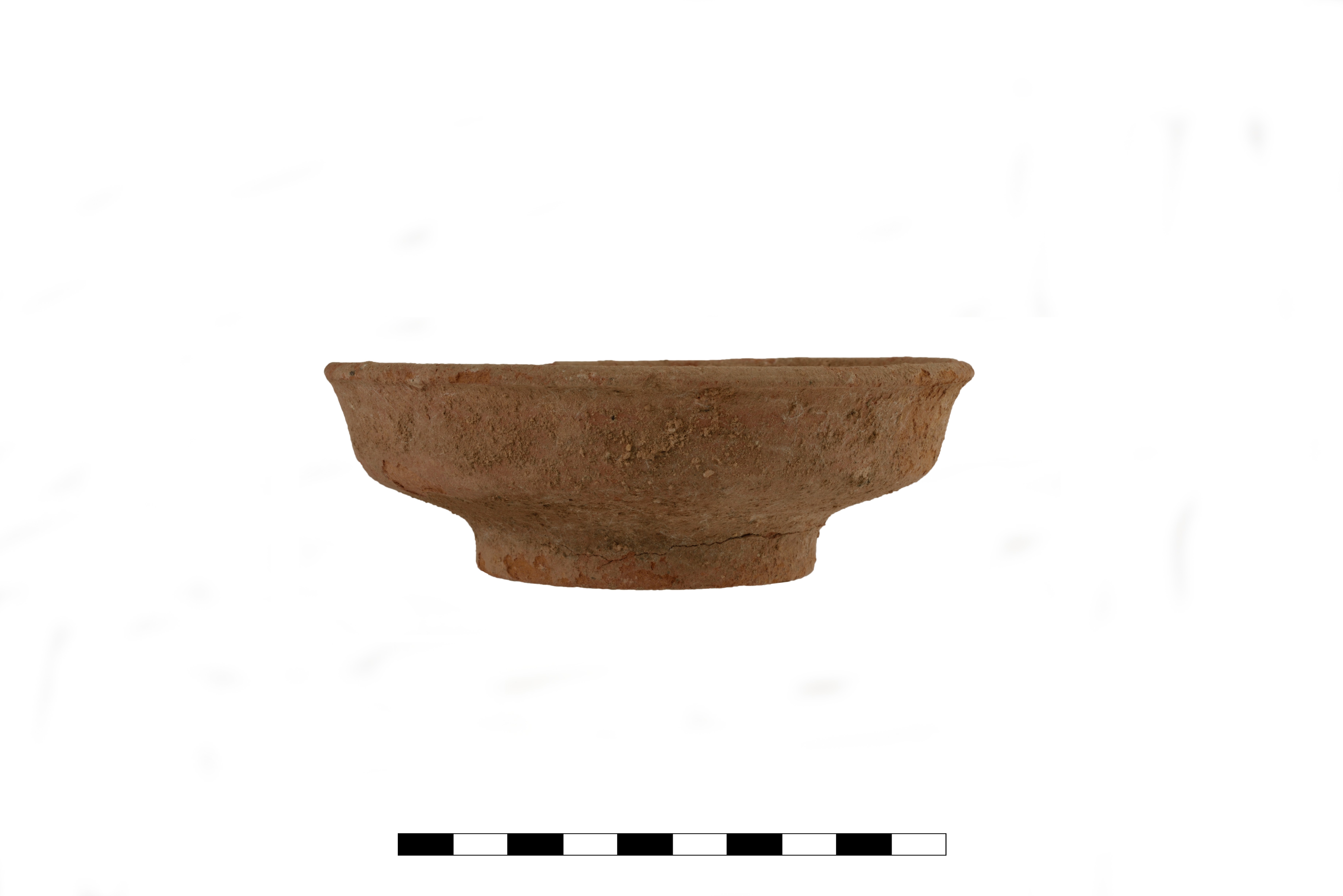 Coppa. lamboglia 22