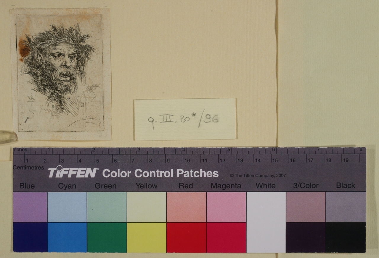 Testa di vecchio satiro, Testa di vecchio satiro (stampa) di Stefano Della Bella (metà sec. XVII)