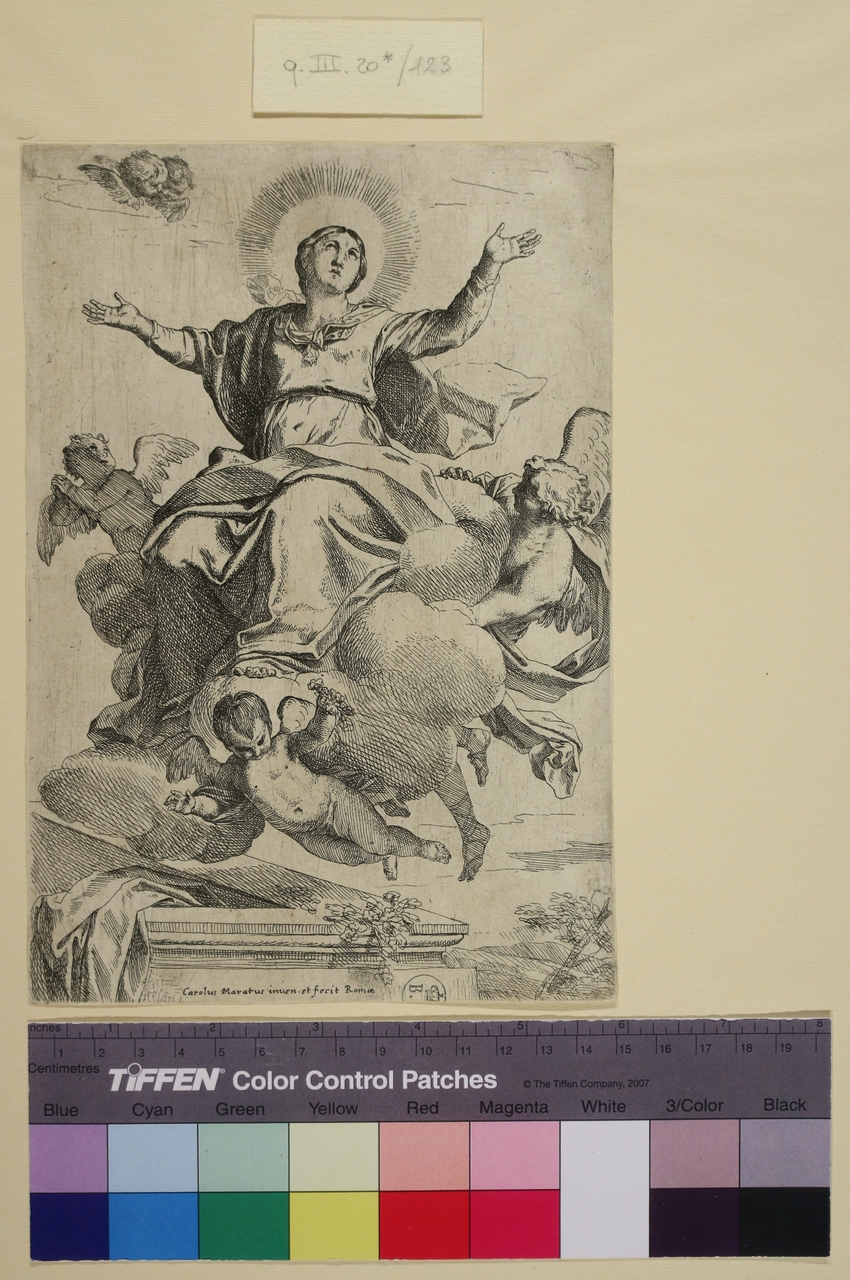 Assunzione della Vergine, Assunzione della Vergine (stampa smarginata) di Carlo Maratta o Maratti (metà sec. XVII)