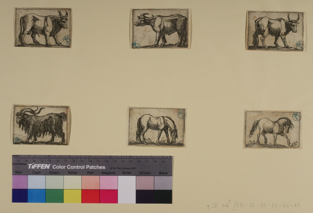 Varie specie di animali (stampa smarginata) di Antonio Tempesta - ambito italiano (sec. XVI)