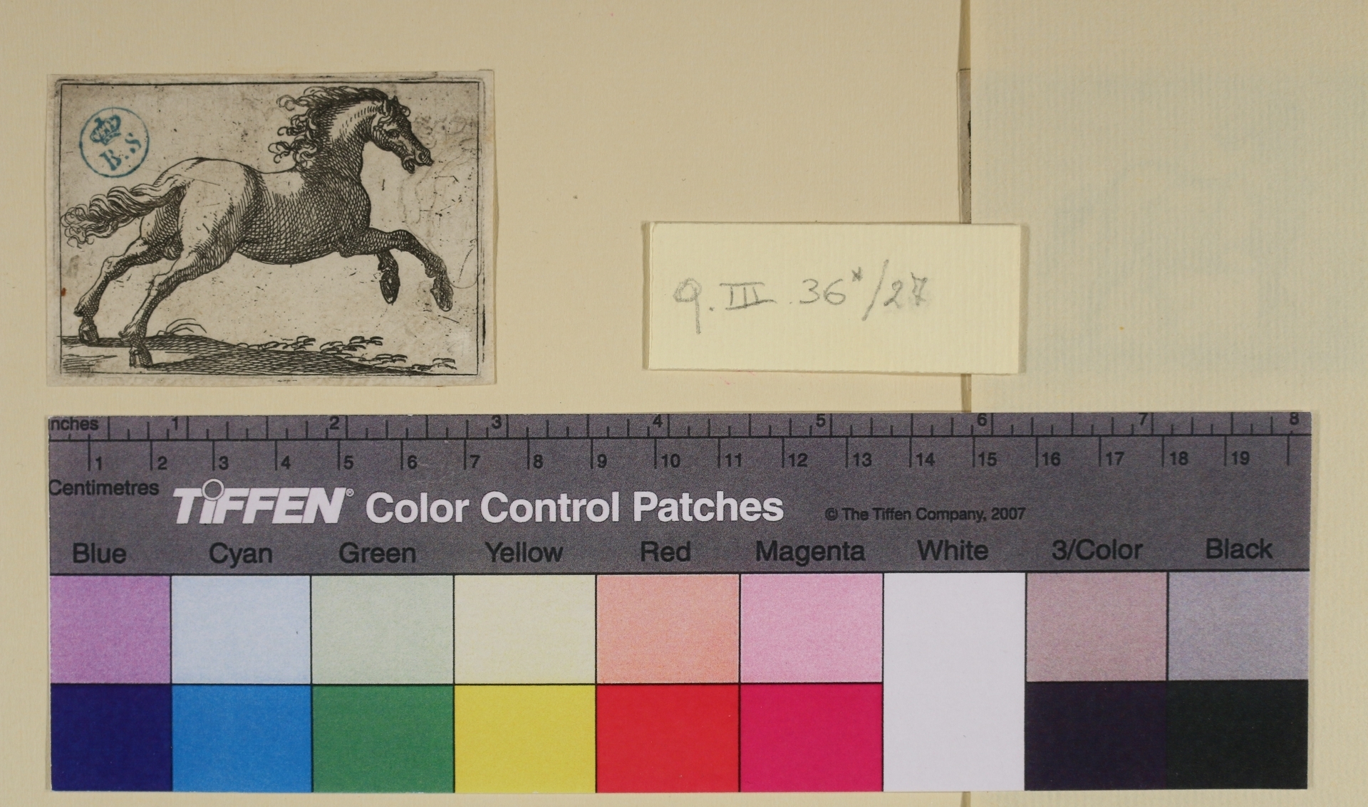 Cavallo, Varie specie di animali (stampa smarginata) di Antonio Tempesta - ambito italiano (sec. XVI)