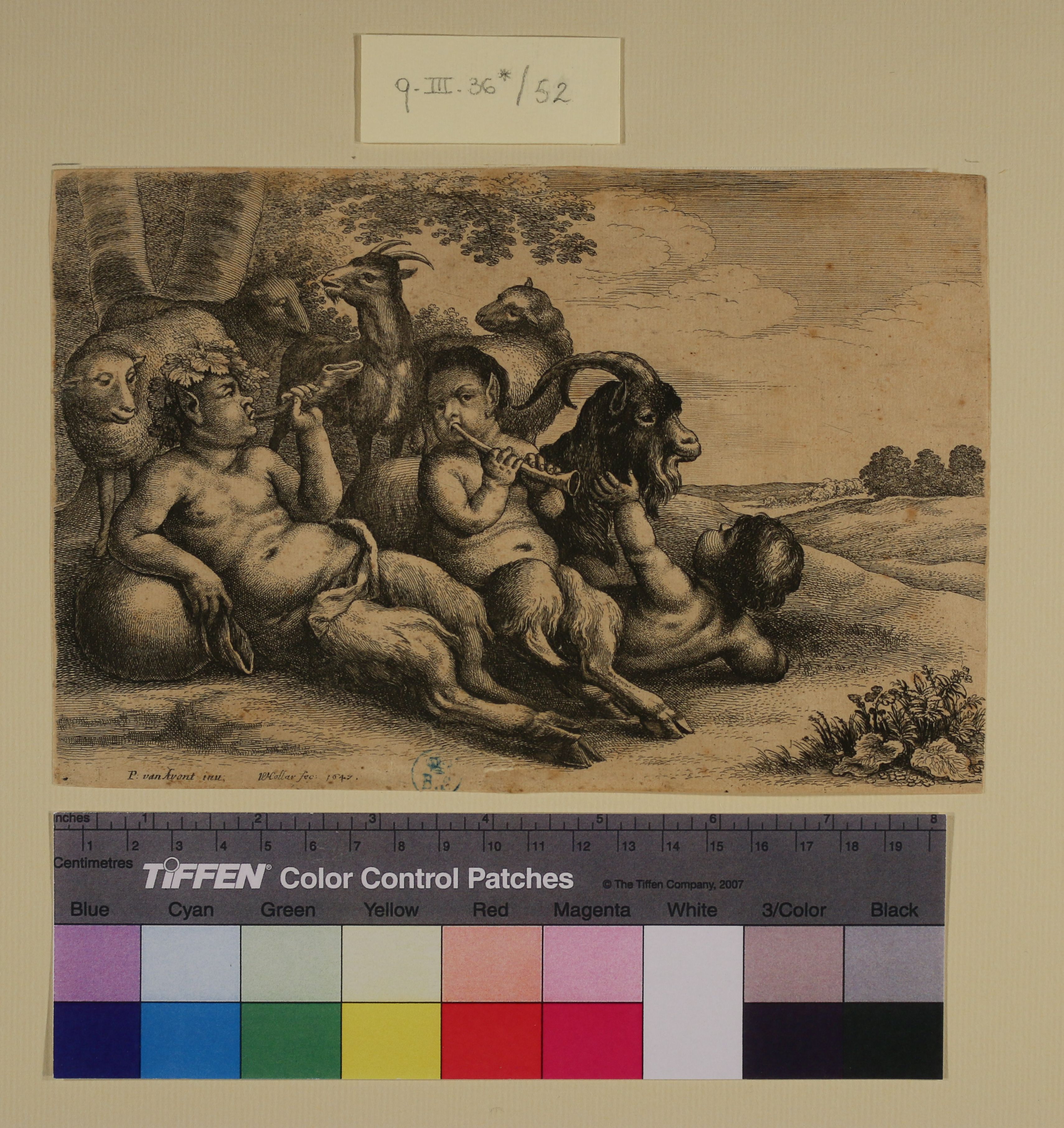 Due satiri e un bambino (stampa smarginata) di Wenzel Hollar o Wenceslaus Hollar, Pieter van Avont (sec. XVII)