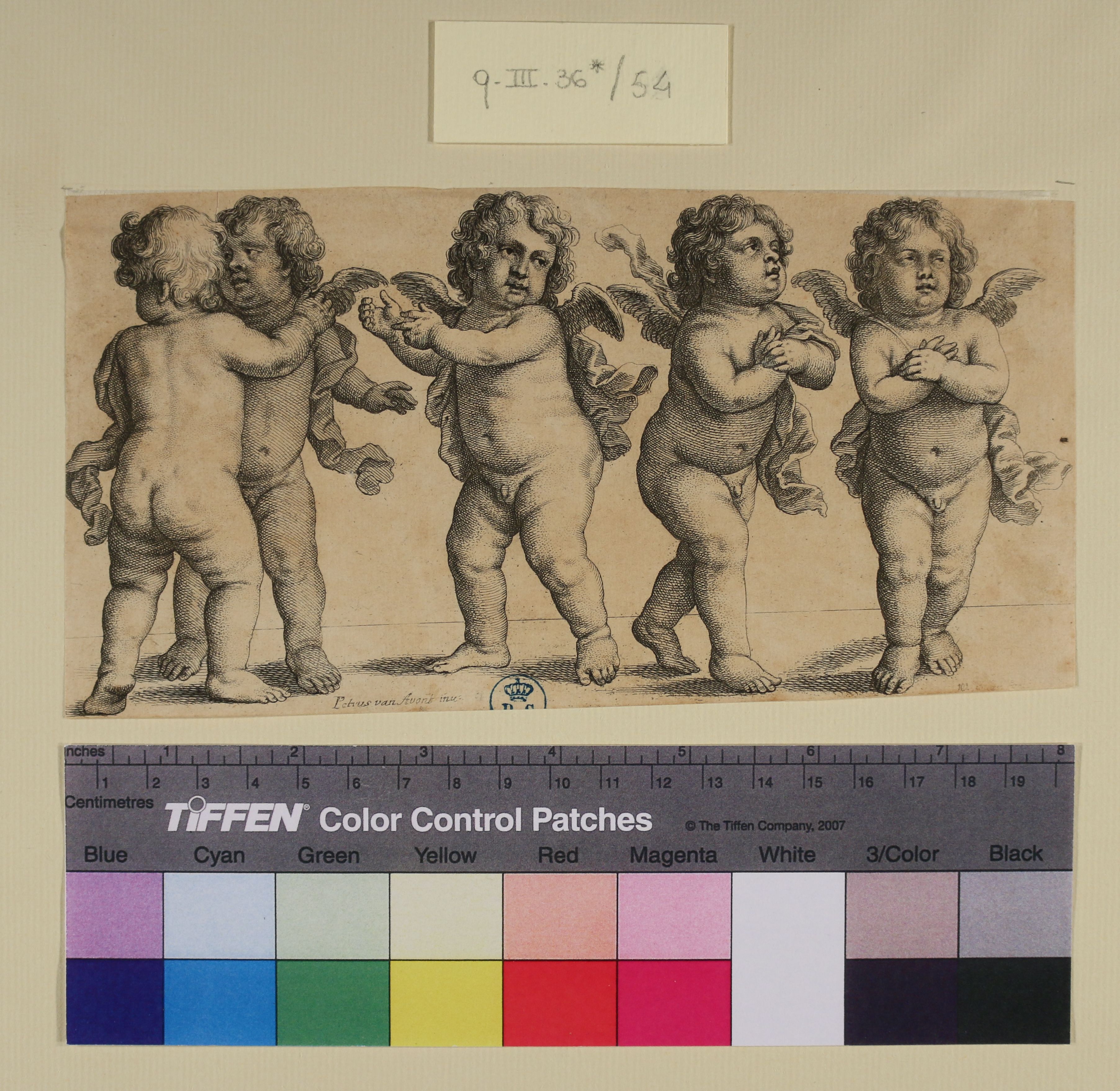 Putti (stampa smarginata) di Wenzel Hollar o Wenceslaus Hollar, Pieter van Avont (sec. XVII)