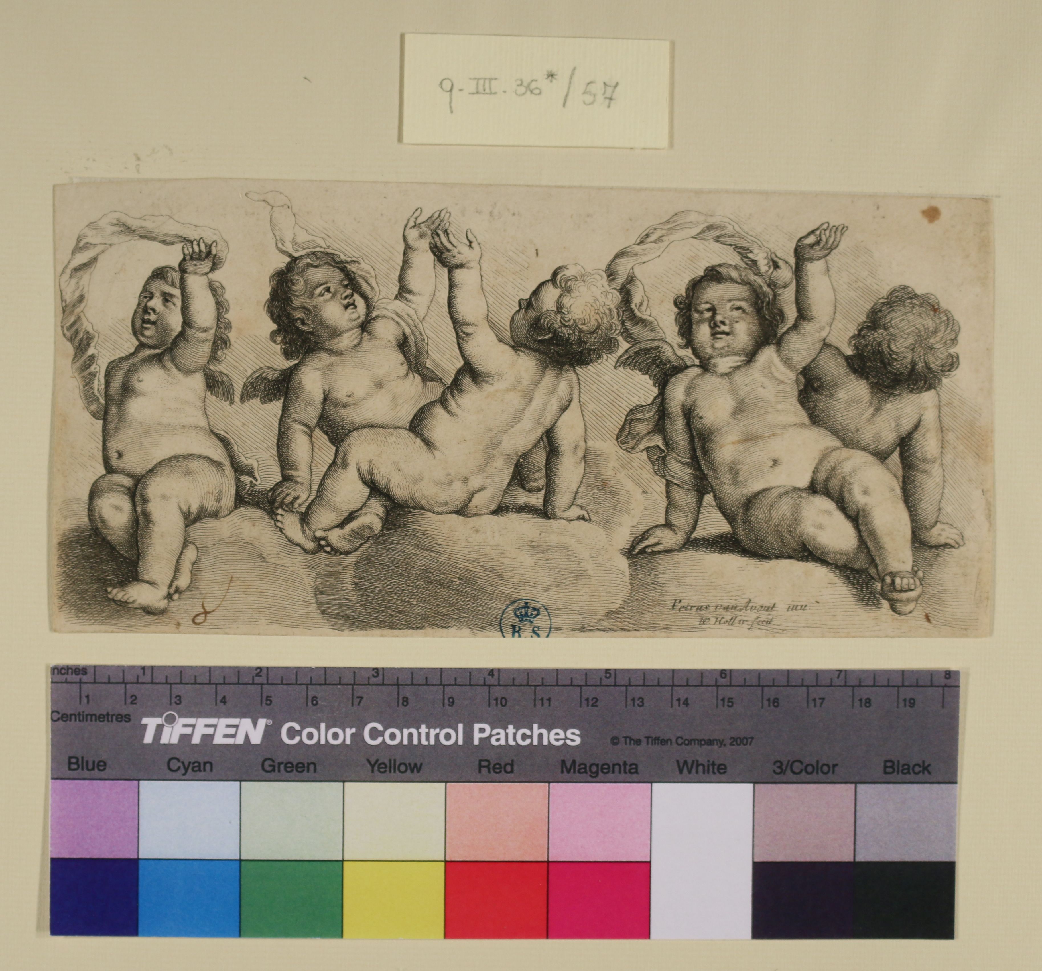 Putti (stampa smarginata) di Wenzel Hollar o Wenceslaus Hollar, Pieter van Avont (sec. XVII)