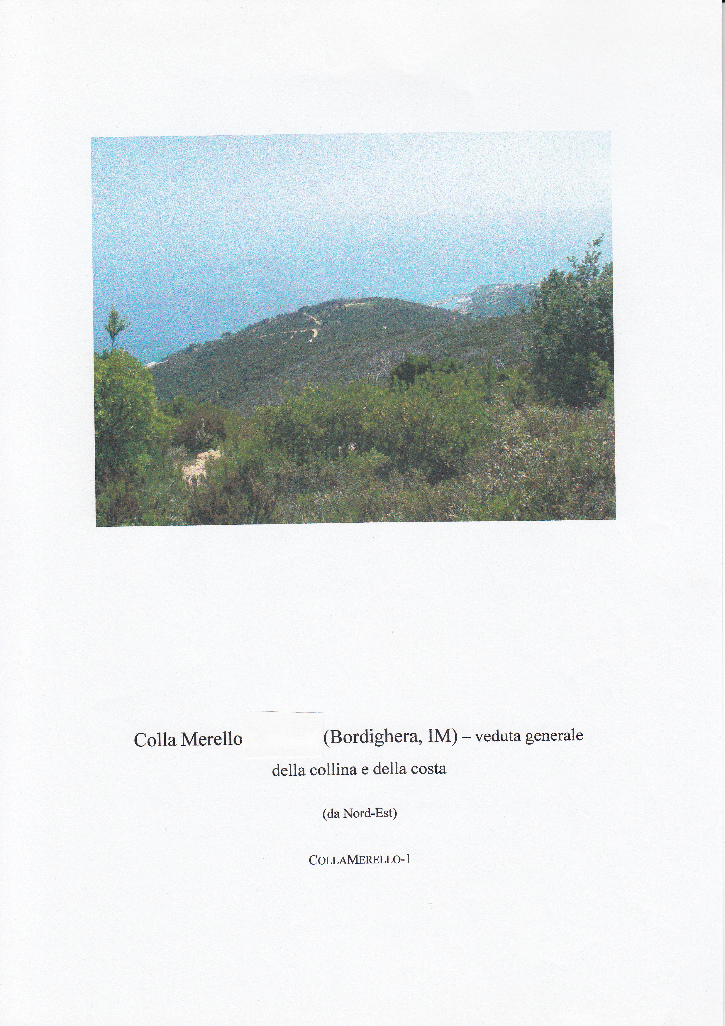 COLLA MERELLO-ENAMURAI (insediamento, tracce di insediamento) - Bordighera (IM)  (Eta' romana)