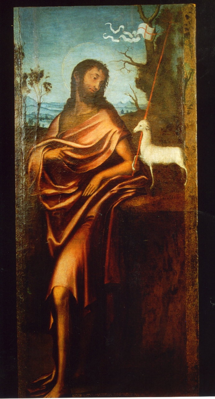 San Giovanni Battista (scomparto di trittico, elemento d'insieme) di Cavaro Michele (attribuito) (XVI)