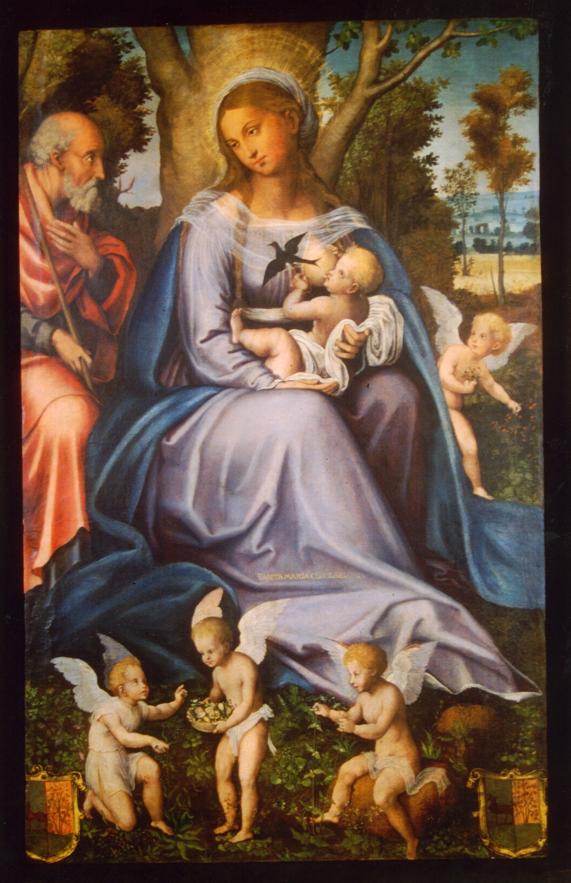 Madonna della Consolazione, Madonna con Bambino (scomparto di trittico, elemento d'insieme) di Cavaro Michele (attribuito) (XVI)