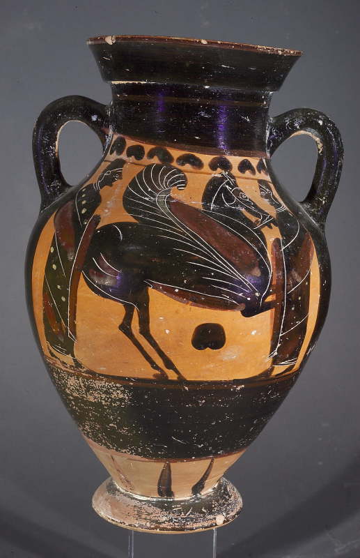 anfora (seconda metà VI sec. a.C)