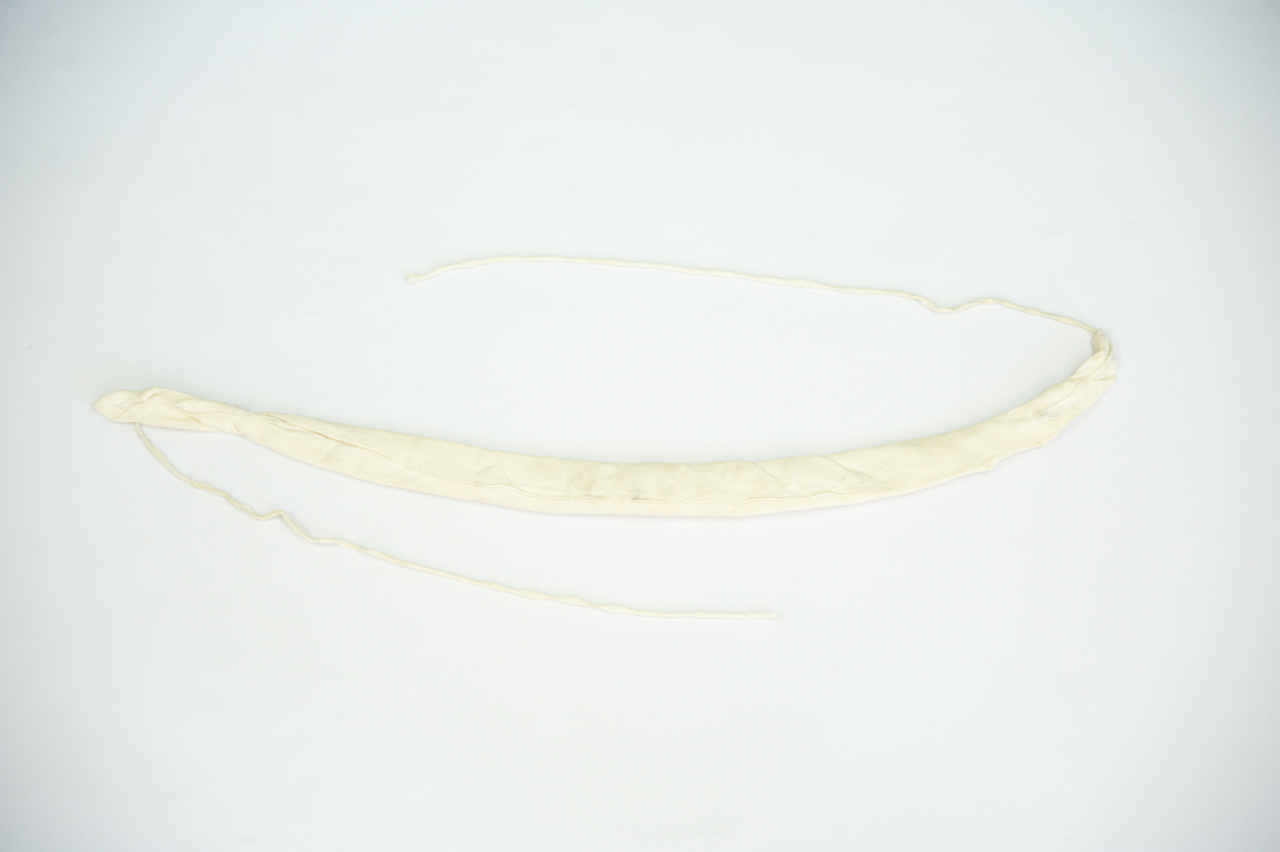 Fascia
