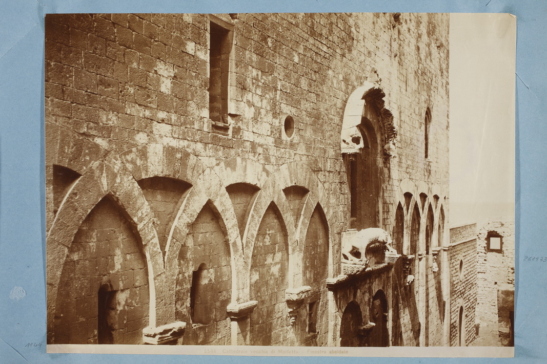 Puglia - Molfetta - Duomo di San Corrado (positivo) di Moscioni, Romualdo (XIX)