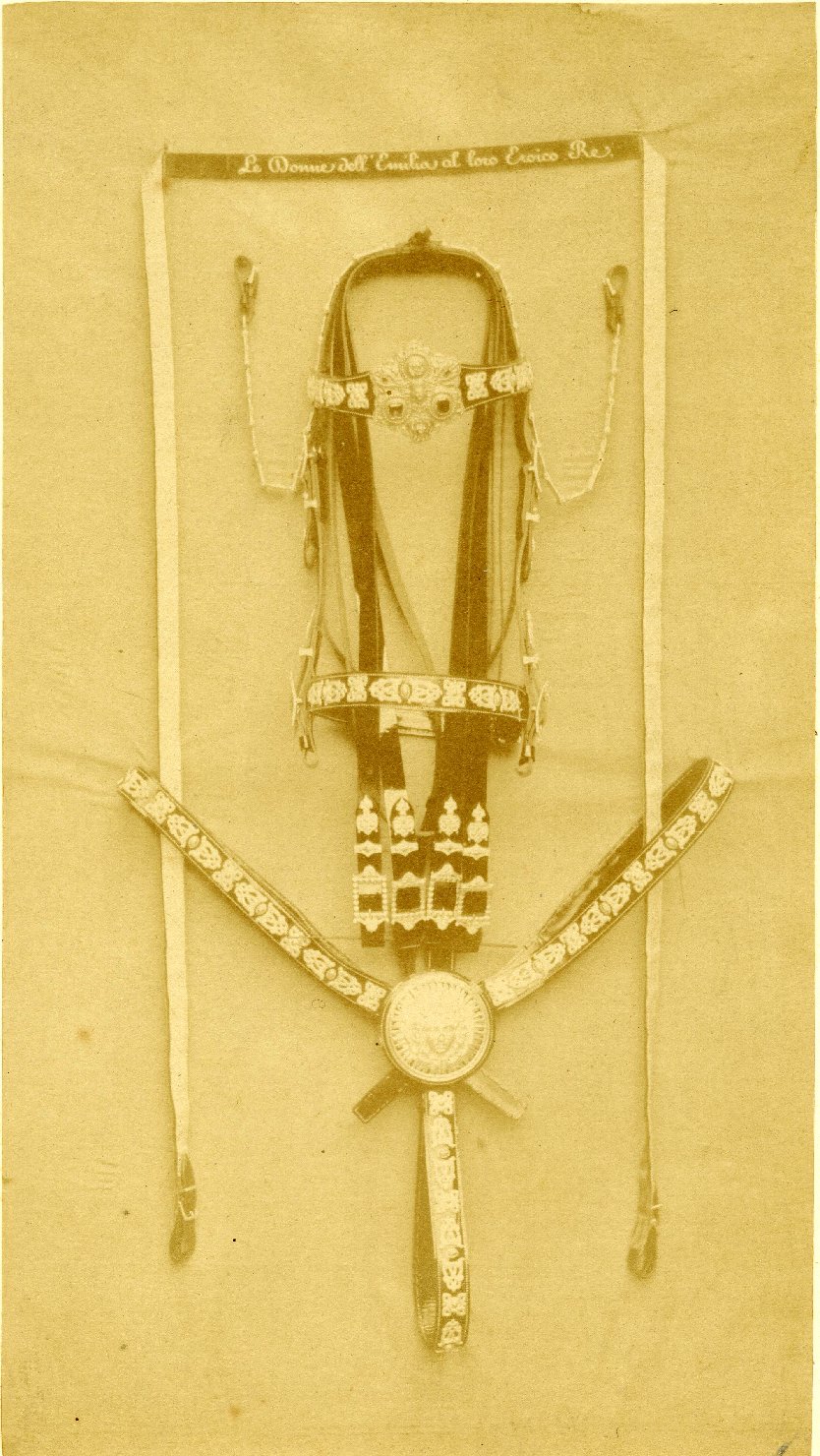Arti applicate - Bardature - Finimenti - Briglie (positivo) di Fotografia Bertinazzi (ditta) (XIX)