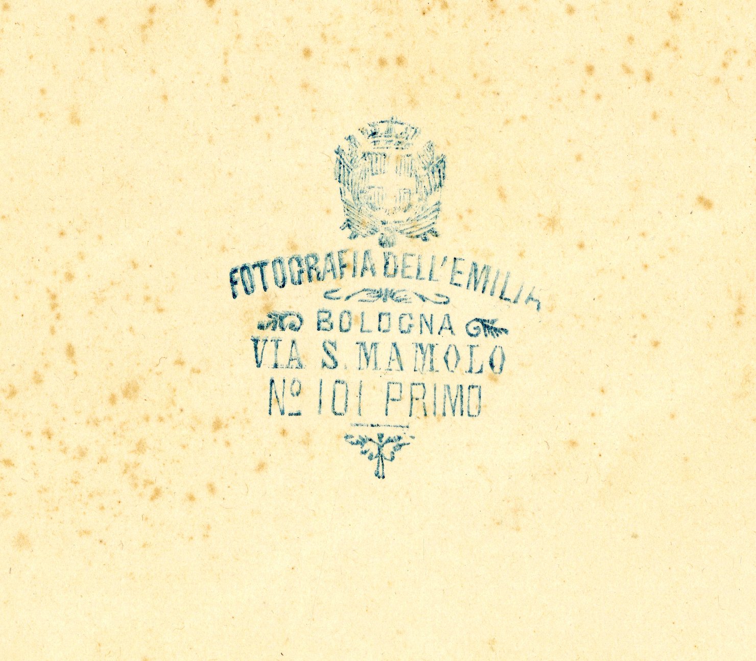 Emilia Romagna - Bologna - Archiginnasio - Teatro Anatonico - Lelli, Ercole - Lo spellato <copia da> (positivo) di Poppi, Pietro (XIX)