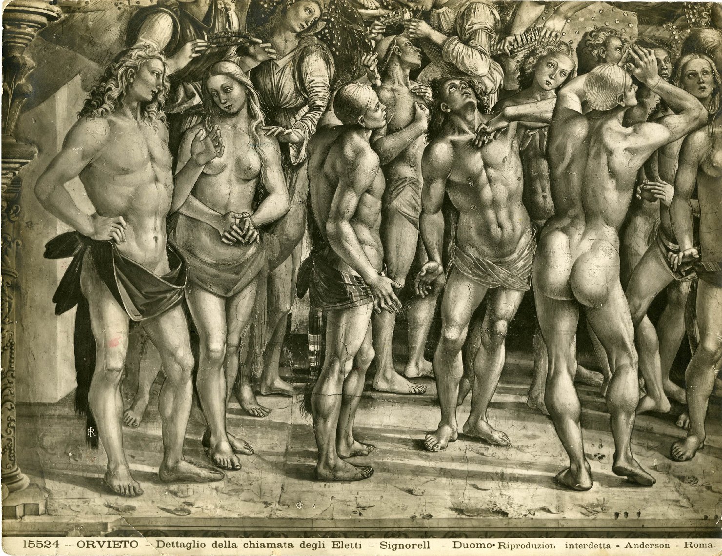 Pittura - Affreschi - Cicli pittorici (positivo) di Anderson, Domenico (ditta), Signorelli, Luca (XIX)