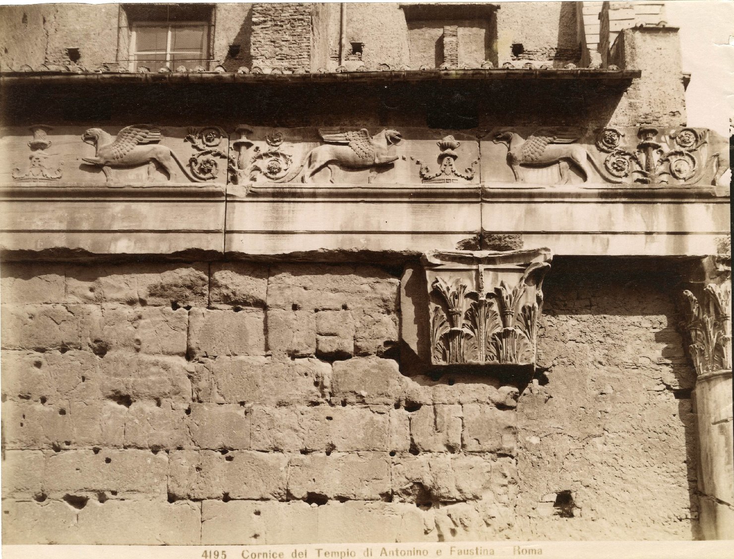 Roma - Foro romano - Tempio di Antonino e Faustina (positivo) di Moscioni, Romualdo (inizio XX)